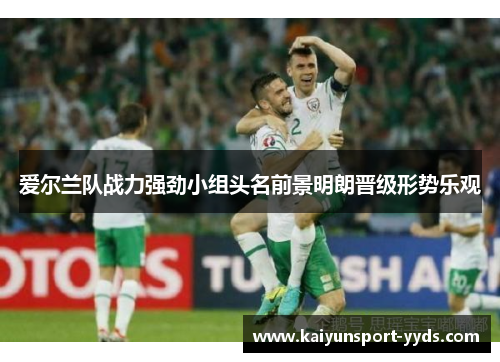 爱尔兰队战力强劲小组头名前景明朗晋级形势乐观