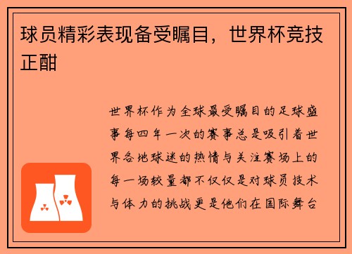 球员精彩表现备受瞩目，世界杯竞技正酣